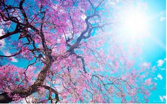 【英语名言】The heart is not conquered by force, but by(图1)