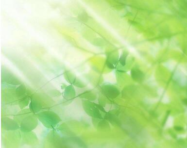 【英语名言】Ignorance is the mother of impudence(图1)
