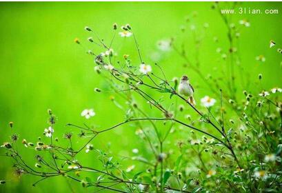 【英语名言】To err is human, to forgive, divine(图1)
