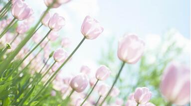【英语名言】Experience is the mother of wisdom(图1)
