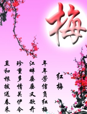 梅花香自苦寒来(图1)