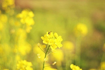 思念的话语_情话大全(图1)