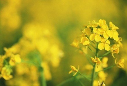 想念女朋友的话_情话大全(图1)