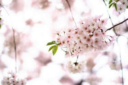 挽回前女友的话_情话大全(图1)