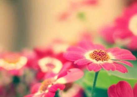 最触动人心的话_情话大全(图1)