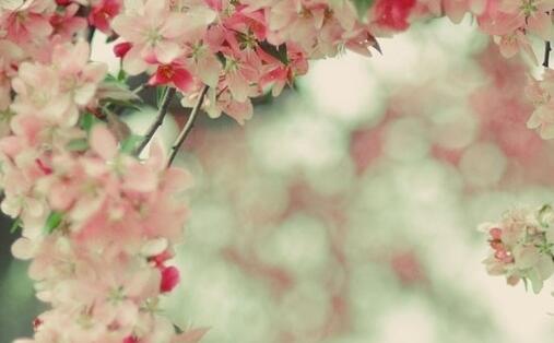 不开心的话语_伤心的话(图1)