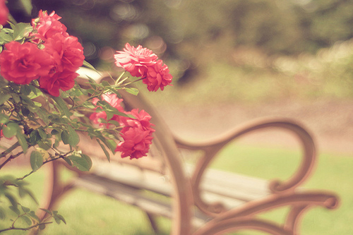 安慰分手女生的话_伤心的话(图1)