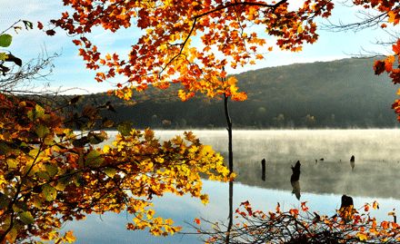 痛到骨子里的话_伤心的话(图1)