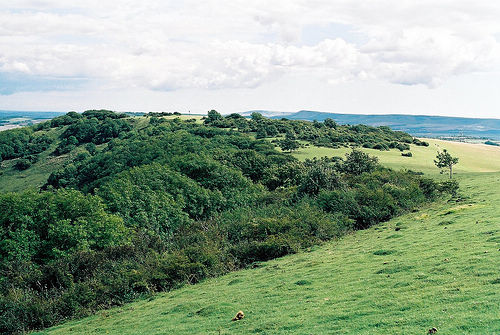 心情不好伤心的句子_伤心的话
