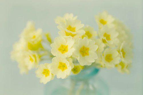 一个人心情不好心累了的话_伤心的话