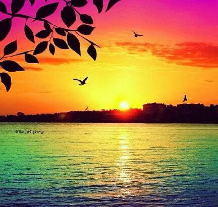 令人心痛的话 最难过的是你眉头紧皱而我却