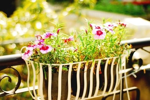 对他说的失望的话_伤心的话