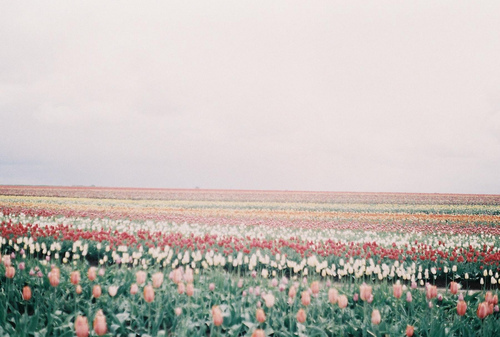 分手绝情的话_伤心的话