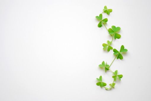 挽留的话，来不及说了，人走了，就这么离开了(图1)