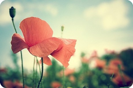 让人心酸的签名_伤心的话(图1)