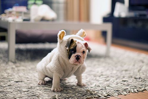 女生骂人的话不带脏字(图1)