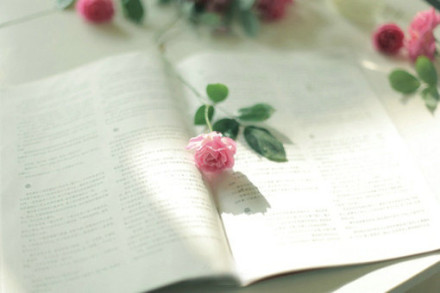 骂女人的脏话 再发嗲，也改变不了你奔三的