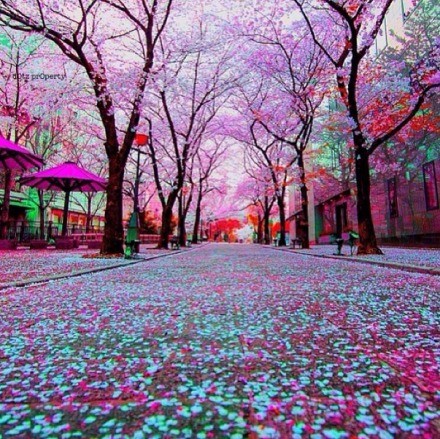 描写伤心的句子 太过在乎，反而是一种错_