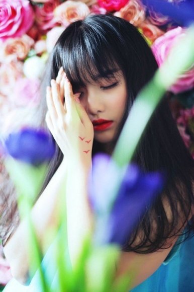 感悟人生励志的句子_感悟的句子